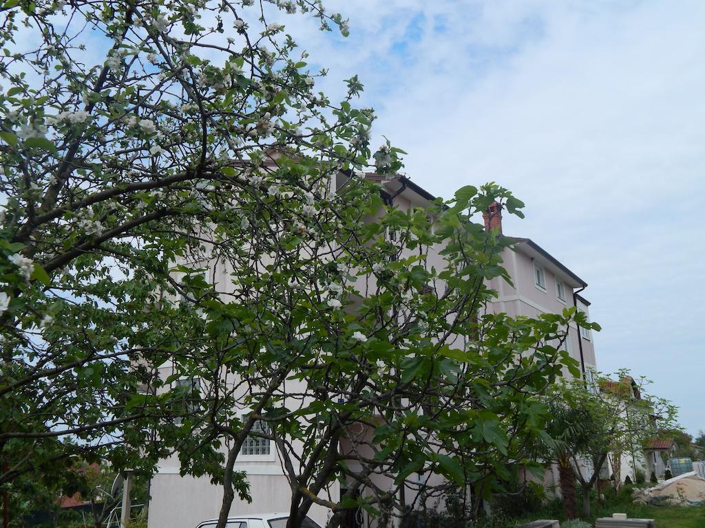 Apartments Vilanija Vilanija